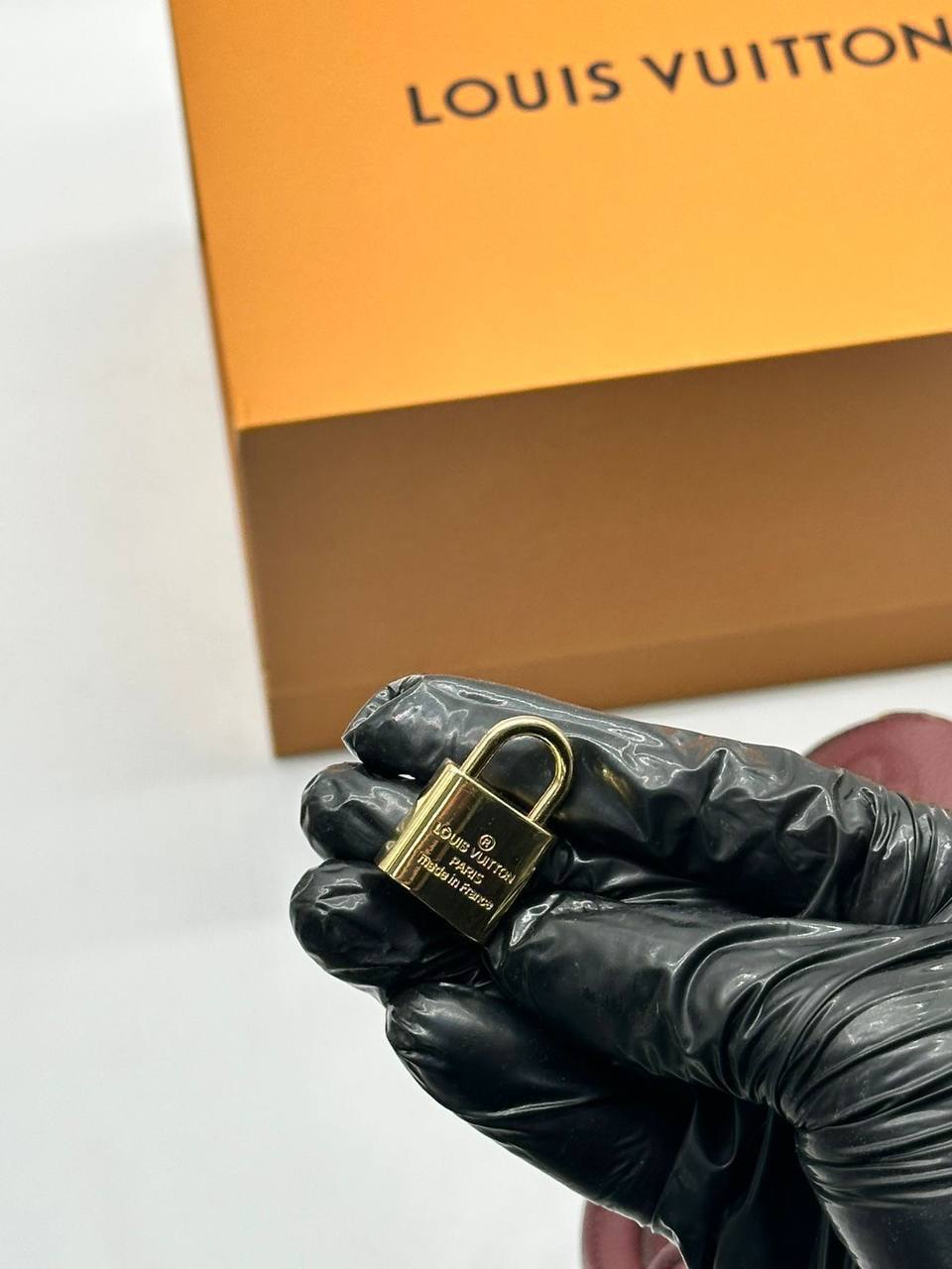 Сумка Louis Vuitton 10