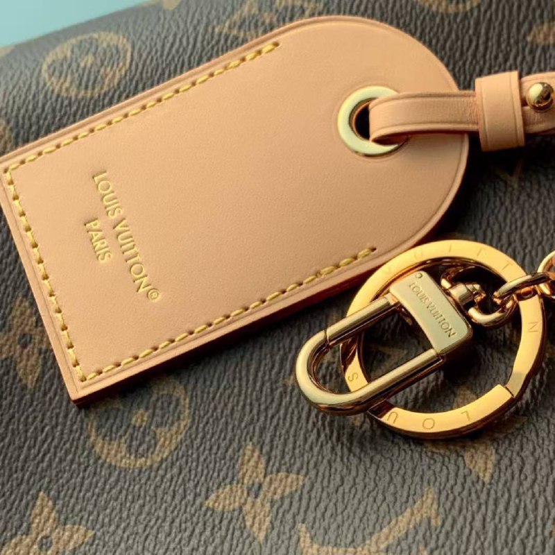 Сумка Louis Vuitton 4