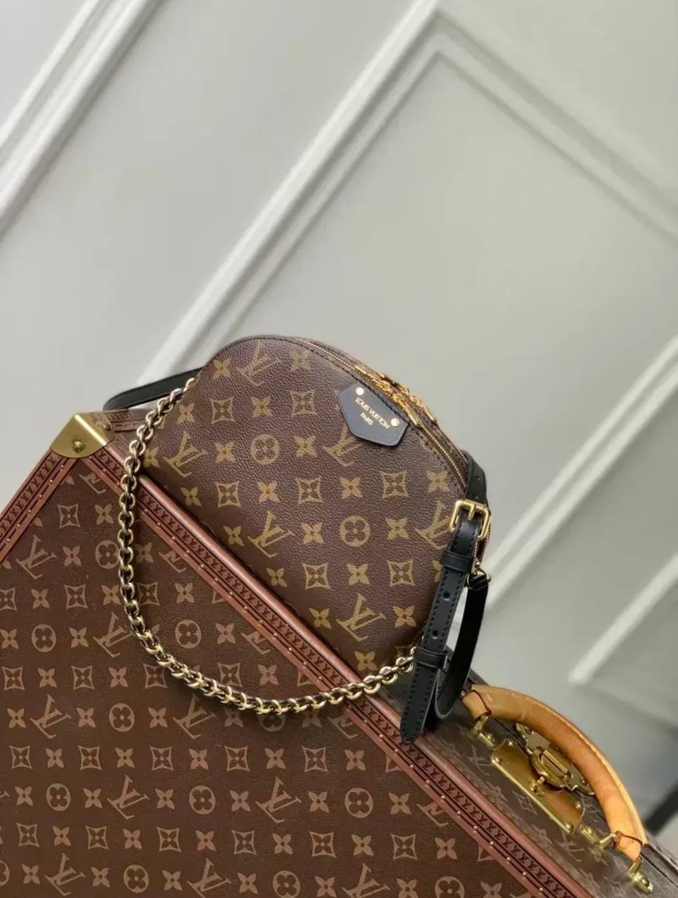 Сумка Louis Vuitton