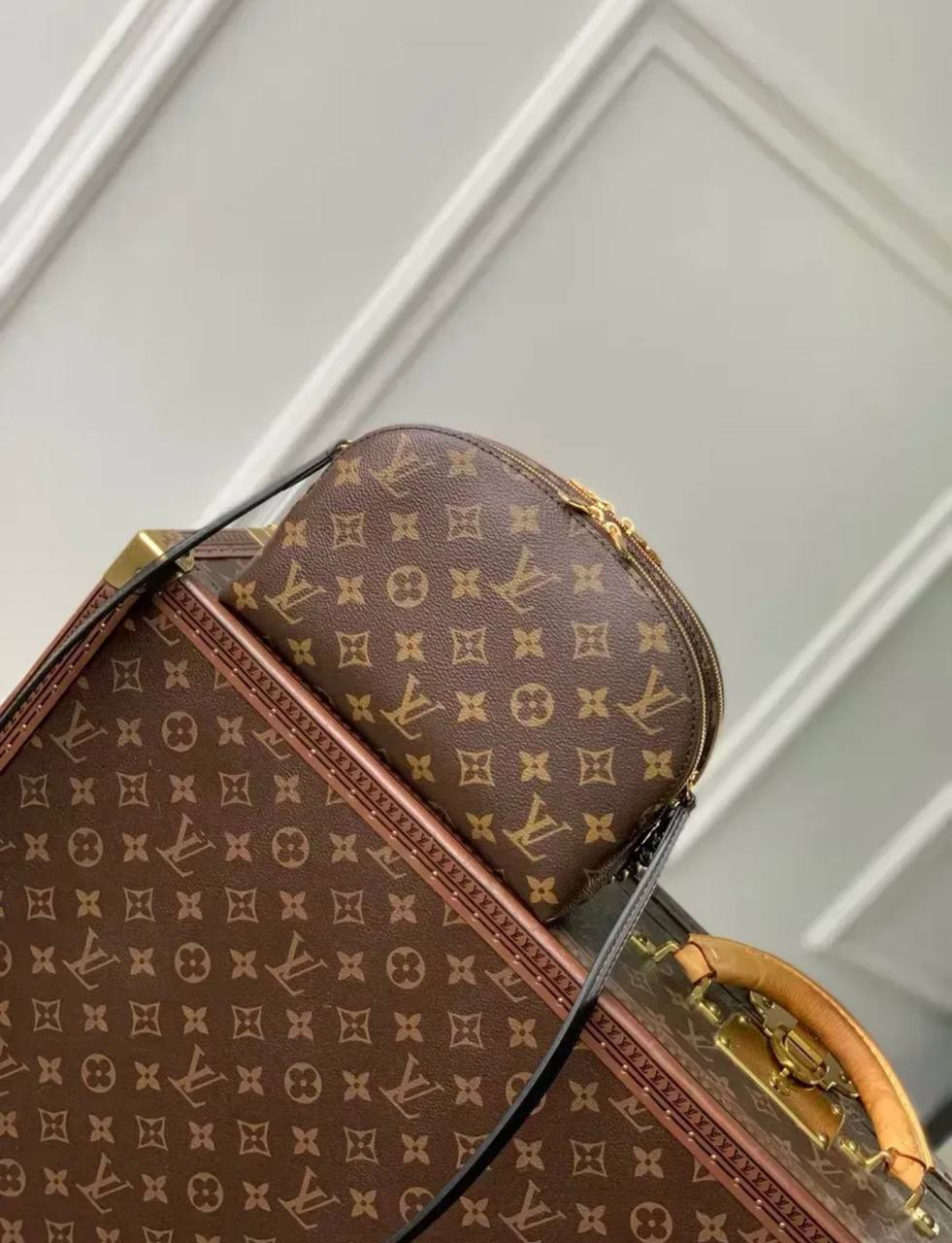 Сумка Louis Vuitton 3