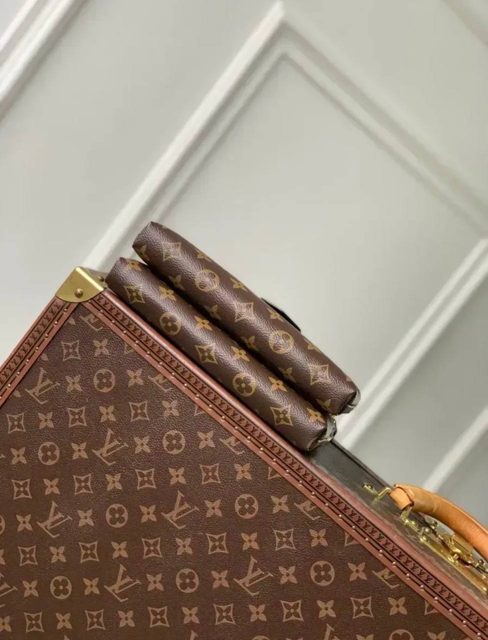 Сумка Louis Vuitton 6