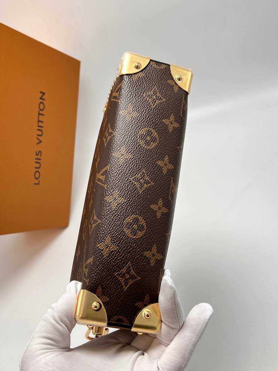 Сумка Louis Vuitton 5