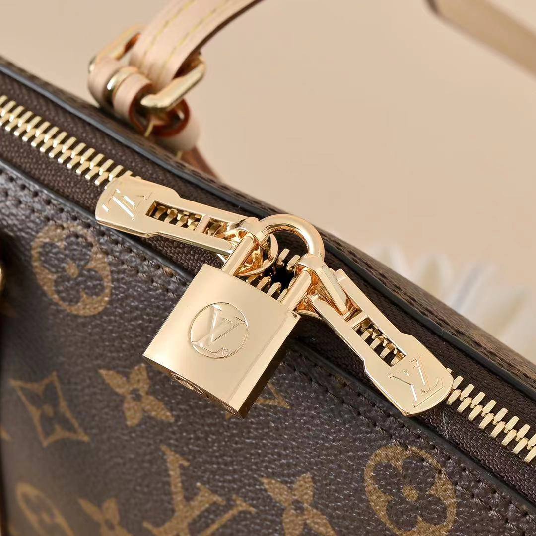 Сумка Louis Vuitton 5