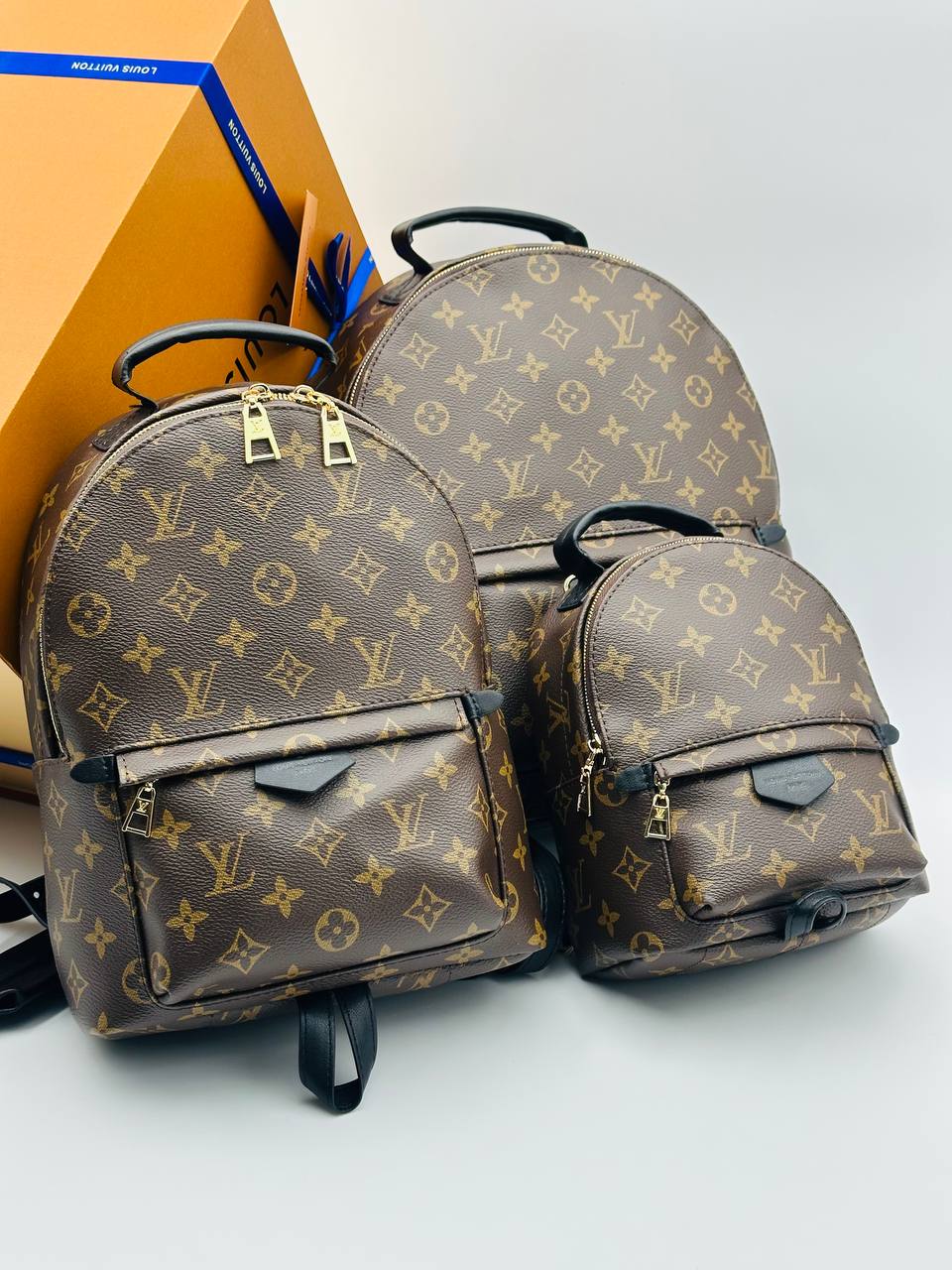 Рюкзак Louis Vuitton 7