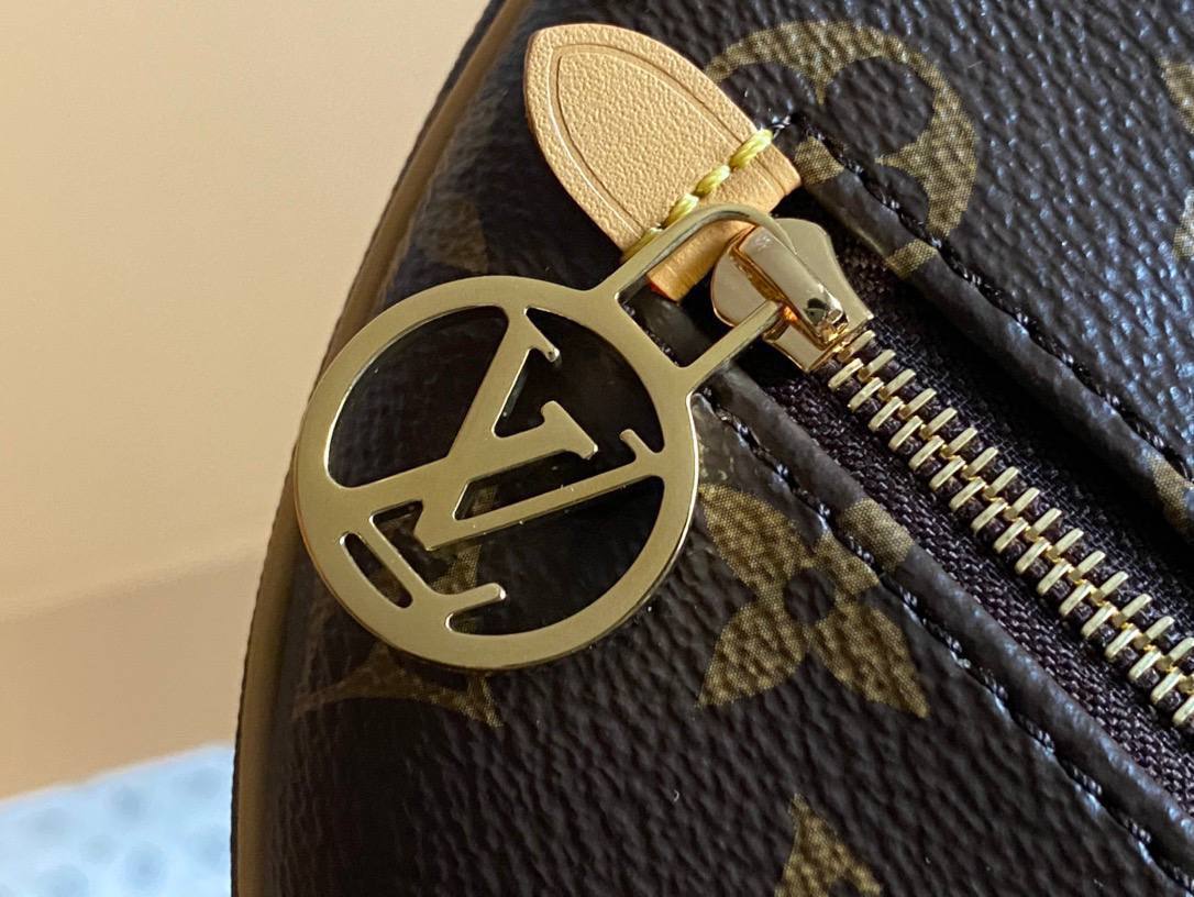 Сумка Louis Vuitton 3